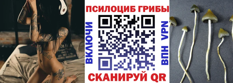 MEGA ссылки нарко площадка Telegram Галлюциногенные грибы мицелий наркота Красновишерск
